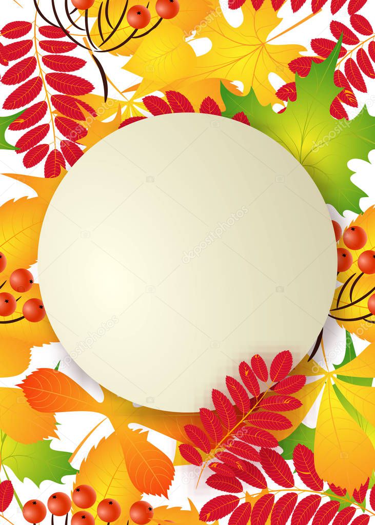 vector, pattern, frame with autumn leaves