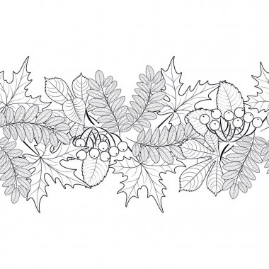 Yaprakların kusursuz deseni