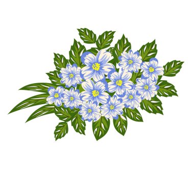 mavi çiçekler bileşimi