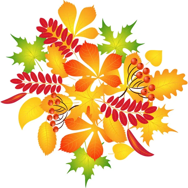 Composition of autumn leaves — Stock Vector