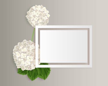 vektör çerçeve çiçek 