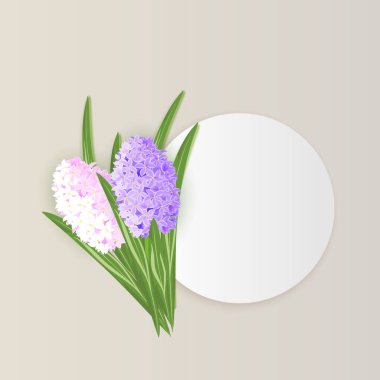 vektör çerçeve çiçek 