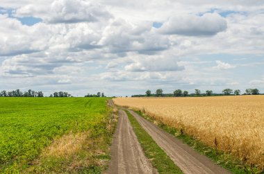 Yolun iki alan arasında
