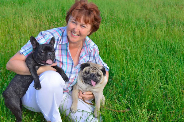 У веселой женщины два питомца, собаки. черный, активный французский бульдог, бежевый, бежевый мопс — стоковое фото
