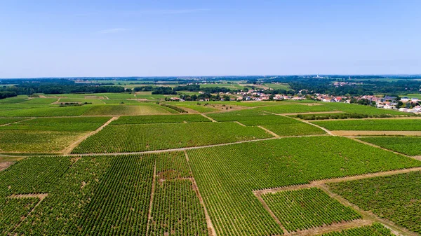 Letecký pohled na vinice poblíž vesnice Monnieres — Stock fotografie