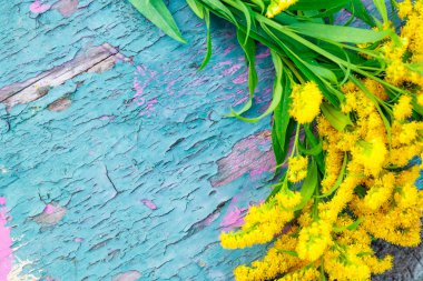 Sarı çayır çiçekler