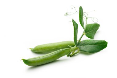 yaprakları taze yeşil bezelye