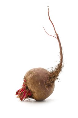 Bahçeden genç pancar