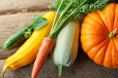 Renkli olgun taze sebze