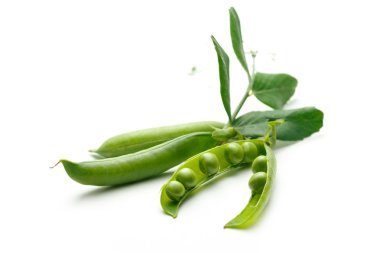 yaprakları taze yeşil bezelye