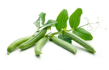 yaprakları taze yeşil bezelye