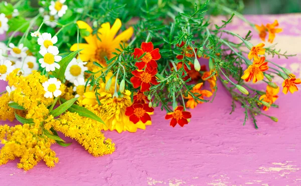 Färgglada trädgård blommor — Stockfoto