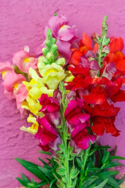 Beautiful Bouquet of gladiolus — Stock Photo, Image