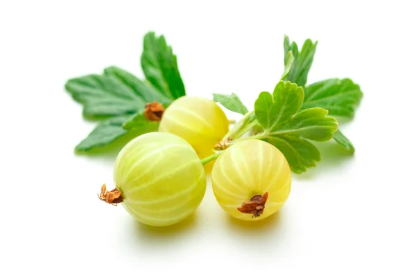 Fresh gooseberry with leaves — Stock Photo, Image