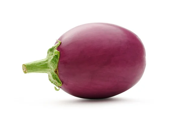 One fresh eggplant — Stock Photo, Image