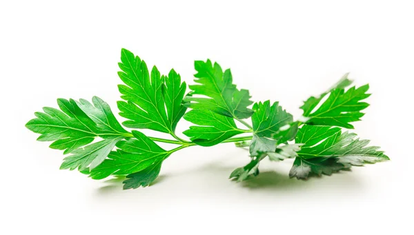 Fresh parsley leaves on white — Stock Photo, Image