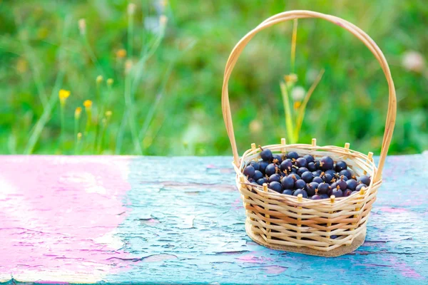 Rieten mand met donkere kruisbes — Stockfoto