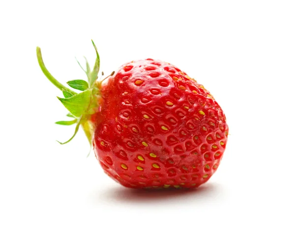 Frische Erdbeere mit Blatt — Stockfoto