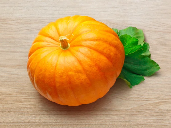 One big pumpkin — Stock Photo, Image