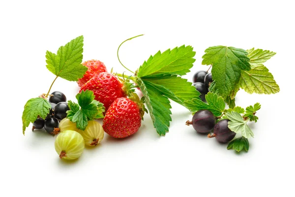Fresh black currant, gooseberry and strawberry — Stock Photo, Image
