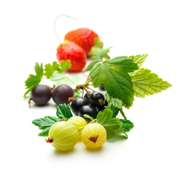 Fresh black currant, gooseberry and strawberry — Stock Photo, Image