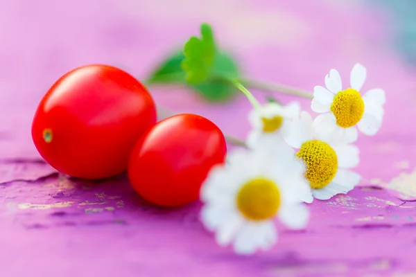 Fiori e pomodori di camomilla — Foto Stock