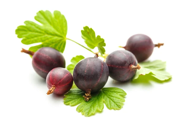 Fresh gooseberry with leaves — Stock Photo, Image