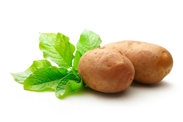 Färsk hel potatis med gröna blastkross — Stockfoto