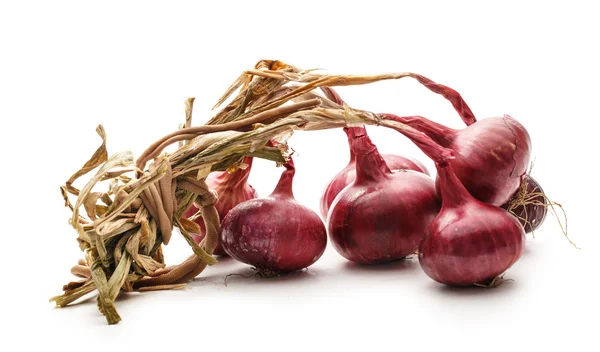 Cebolla roja fresca — Foto de Stock