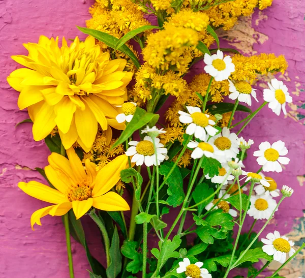 Fiori da giardino colorati — Foto Stock