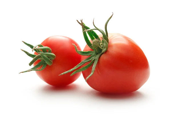 Frische rote Tomaten — Stockfoto