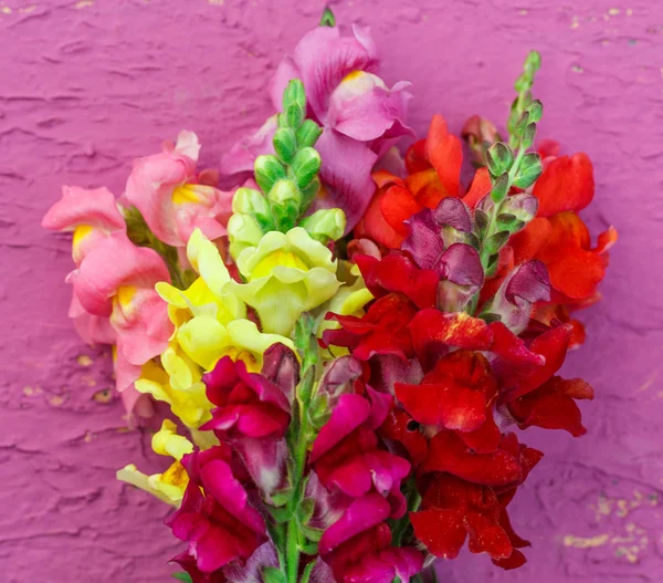 Beau Bouquet de gladiolus — Photo