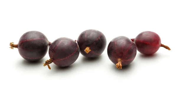 Gooseberry segar matang — Stok Foto