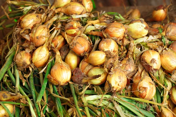 Cesta de cebola amarela fresca — Fotografia de Stock