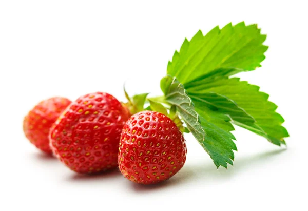 Frische Erdbeere mit Blättern — Stockfoto