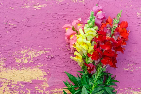 Beautiful Bouquet of gladiolus — Stock Photo, Image