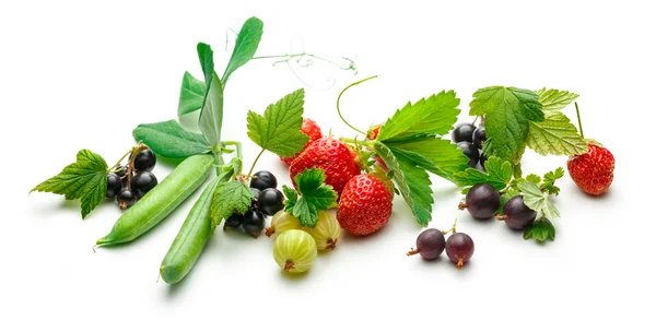 Fresh black currant, gooseberry, strawberry and peas Royalty Free Stock Images