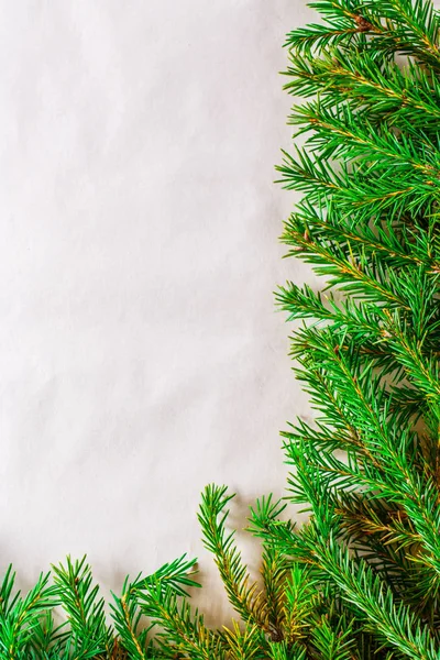 Fondo de Navidad con rama de abeto —  Fotos de Stock