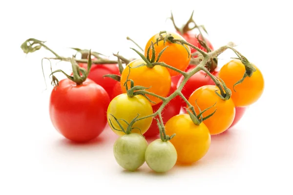 Färska röda och gula tomater — Stockfoto