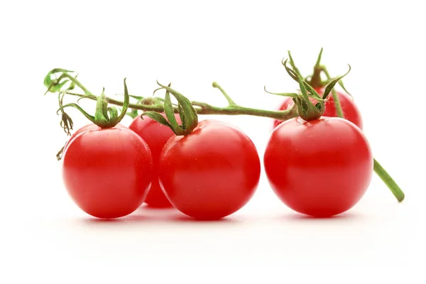 Frische rote Tomaten — Stockfoto