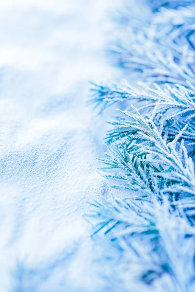 Christmas background with snow — Stock Photo, Image