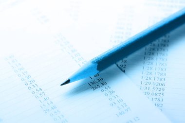 İşletme bütçesi ve kalem