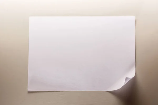 Folha de papel em branco — Fotografia de Stock