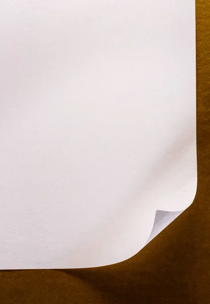 Folha de papel em branco — Fotografia de Stock