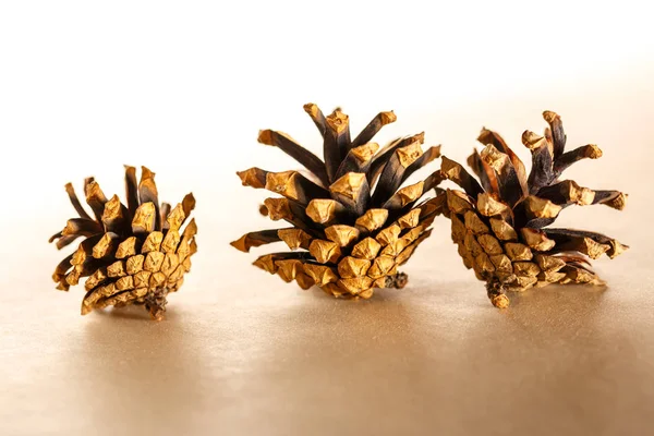 Cones de pinheiro seco — Fotografia de Stock