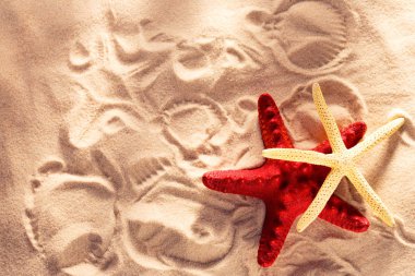 İki deniz yıldızları ve kum baskılar