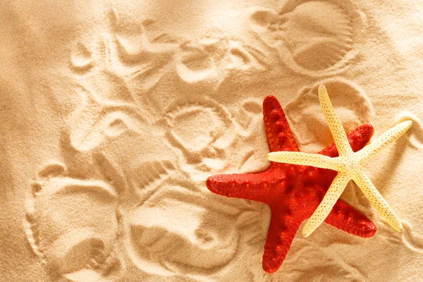 Deux étoiles de mer et des empreintes dans le sable — Photo