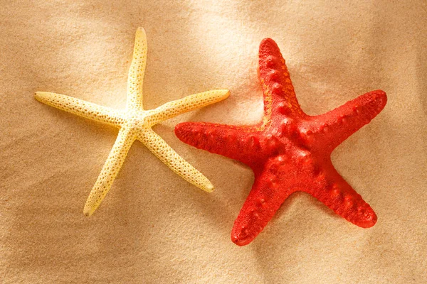 Stelle rosse e bianche del mare — Foto Stock