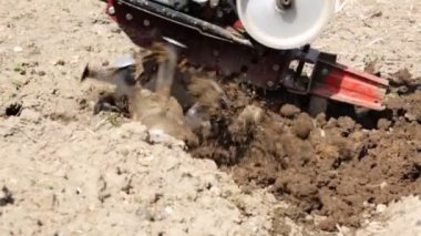 Yavaş çekimde bir motoblock ile toprak çiftçilik