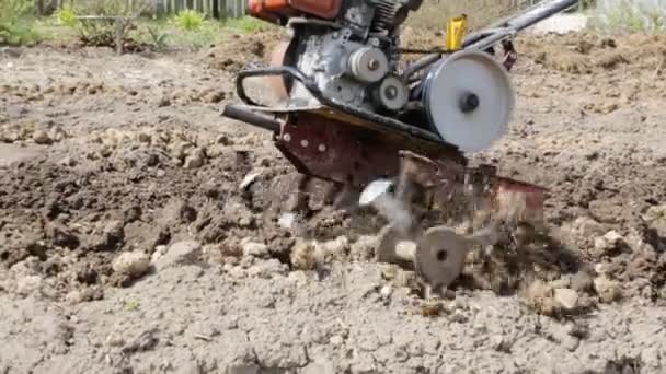 Plowing the soil with a motoblock — Stock Video